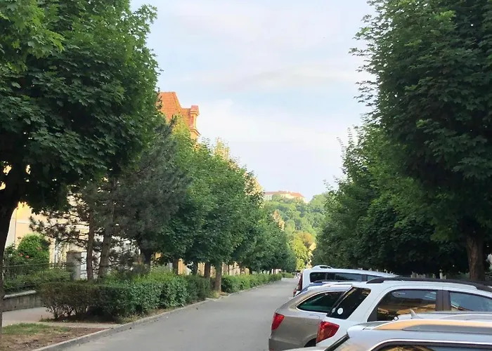 Veveri - Uvoz, 10 Min Pesky Do Centru * Brno