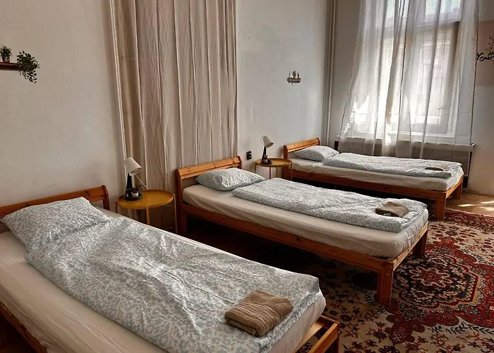 Veveri - Uvoz, 10 Min Pesky Do Centru Auberge de jeunesse